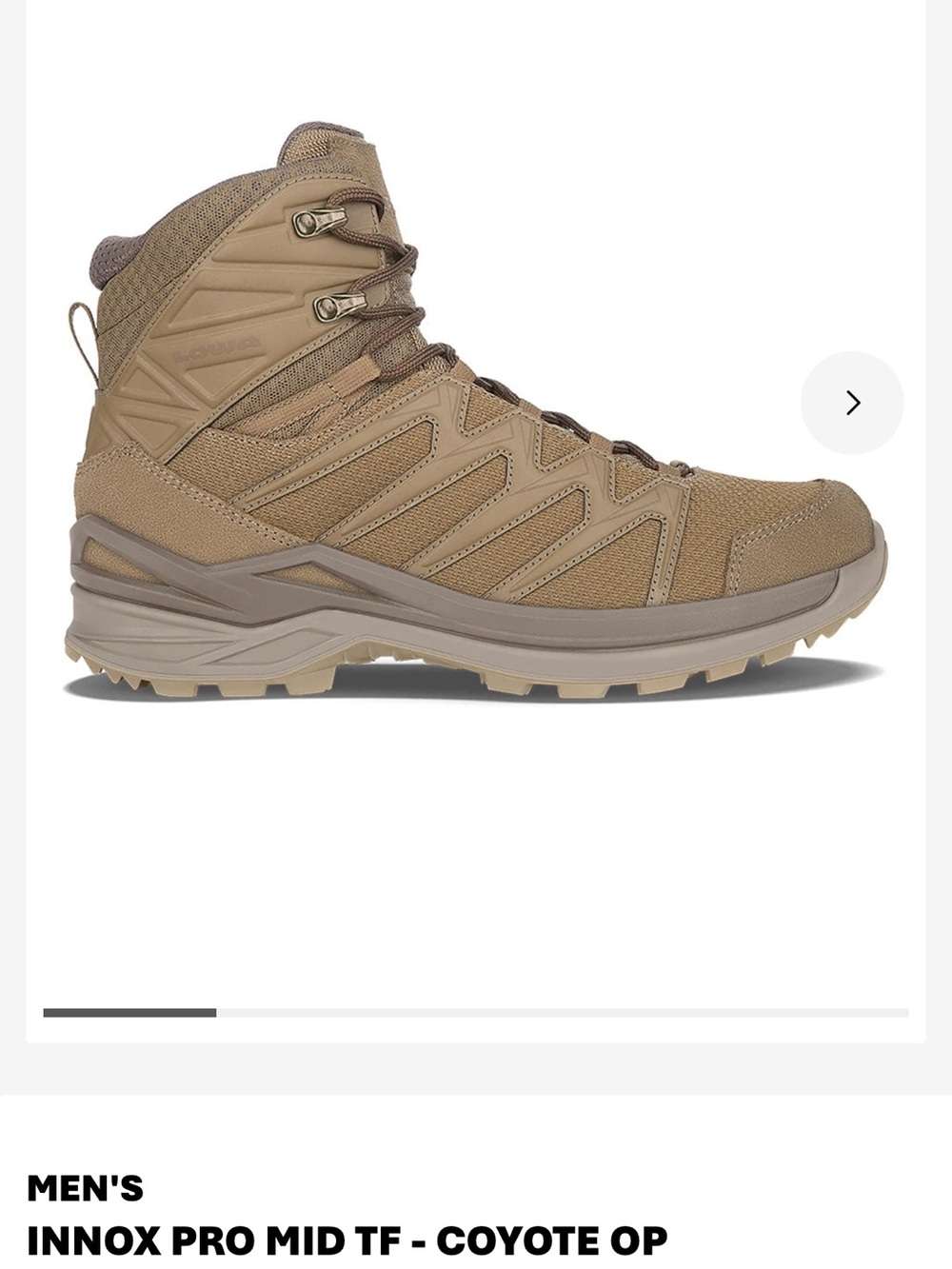 Men’s lowa boots